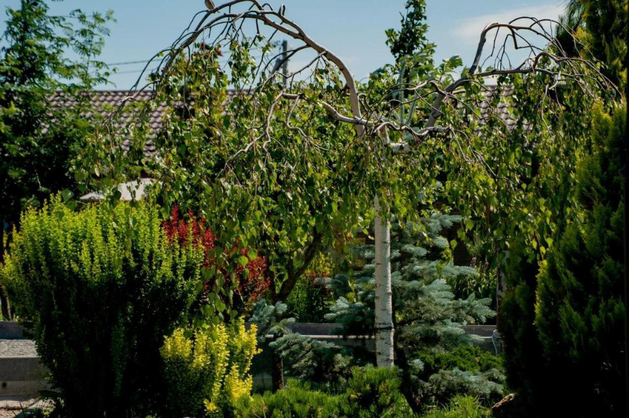 Villa Grand Family Rozhny Экстерьер фото